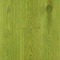 Aquastain Lime 9001