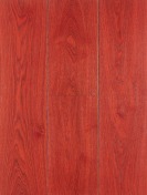 Aquastain Red 9002