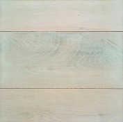 Loogbeitsen_white_2426