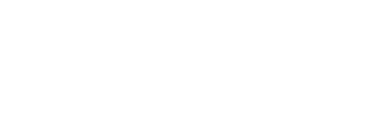 Blanchon group logo